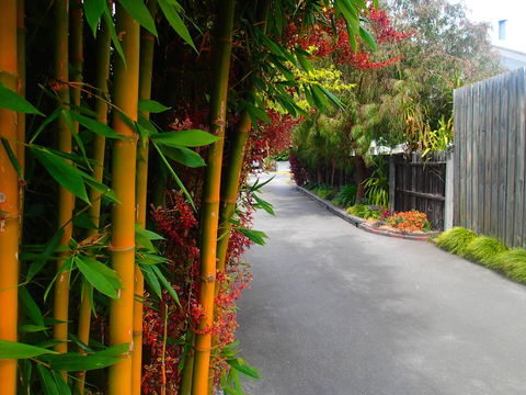 Azen Haven - Tourism Brisbane 14