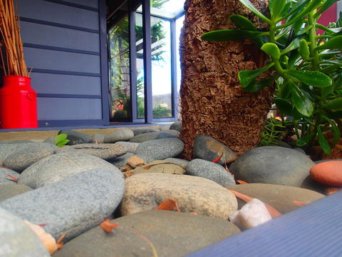 Azen Haven - Tourism Brisbane 11