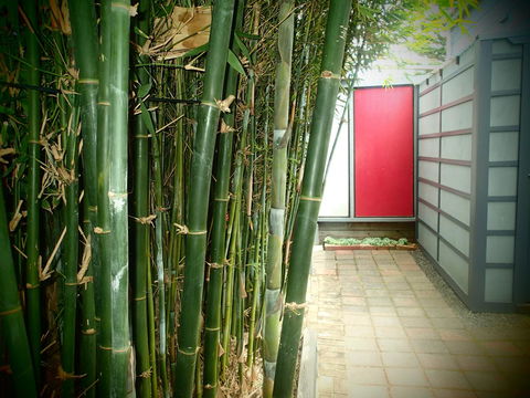 Azen Haven - Tourism Brisbane 13