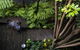 Albert Heights Serviced Apartments - thumb 15
