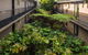 Albert Heights Serviced Apartments - thumb 14