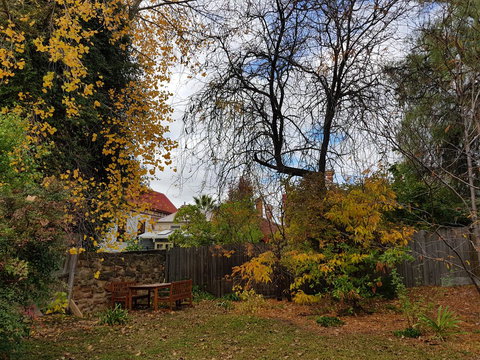 Myers CBD - Tourism Brisbane 26