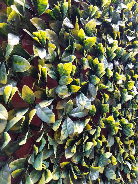 Myers CBD - Tourism Brisbane 10