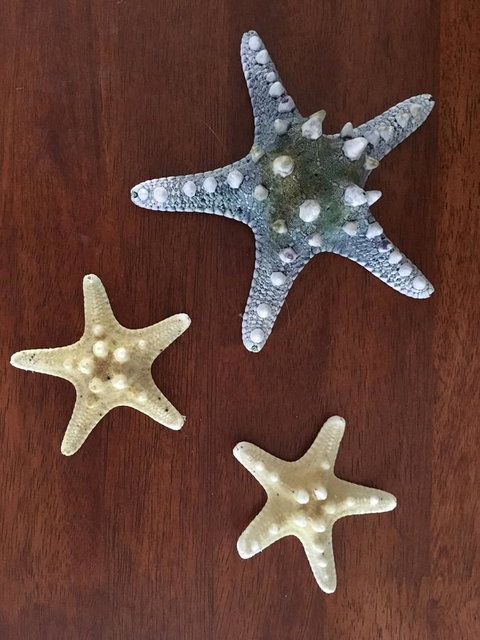 Ocean View Beach House - Brisbane Tourism 2