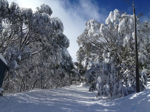 Maisonettes Falls Creek - Brisbane Tourism 17