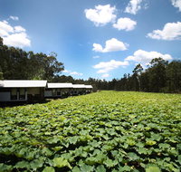 The Boathouses at Leaves  Fishes - Brisbane Tourism