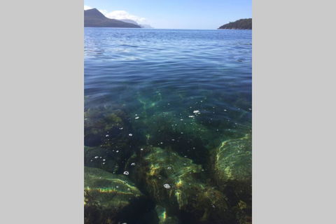 The Cove... On The Rocks At Port Arthur - Tourism Brisbane 3