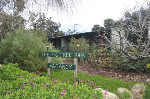The Fig Tree B&B - Tourism Brisbane 0