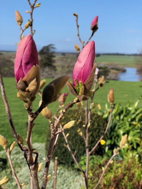The Granary - Brisbane Tourism 3