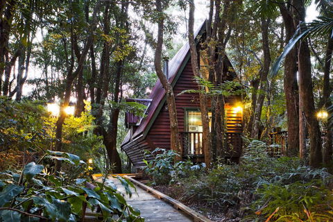 The Mouses House Rainforest Retreat - Tourism Brisbane 1