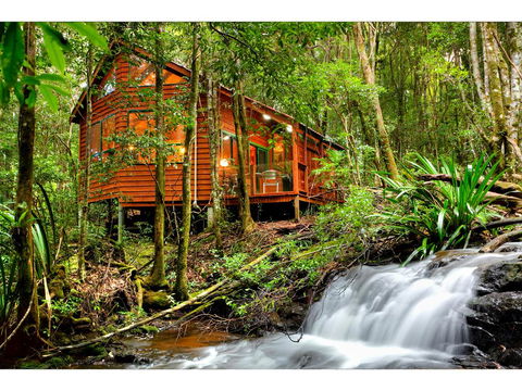The Mouses House Rainforest Retreat - Tourism Brisbane 0