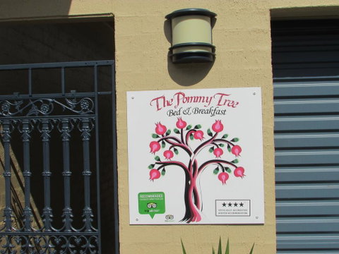 The Pommy Tree - Brisbane Tourism 1