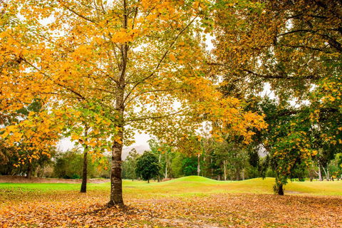 The Retreat At Wisemans - Tourism Brisbane 1