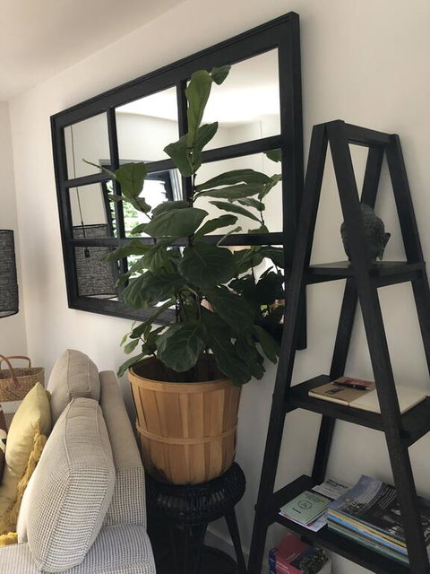 The Stewart - Tourism Brisbane 0