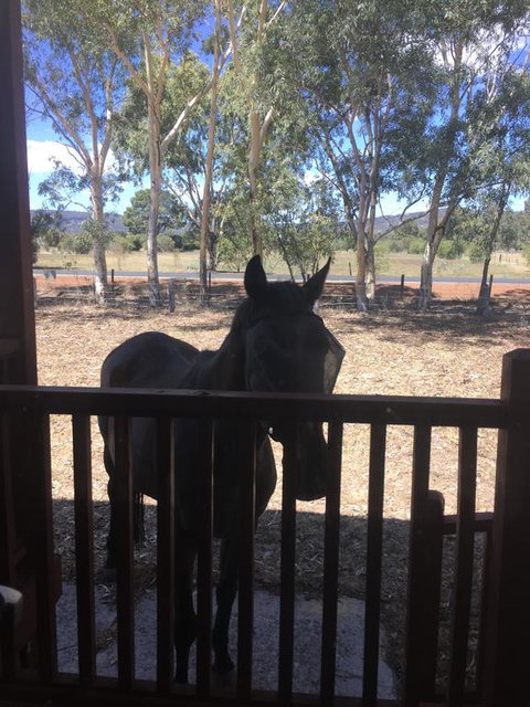 Thie My Chree Retreat - Tourism Brisbane 3