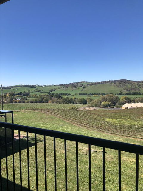 Turners Vineyard Motel - Tourism Brisbane 2