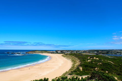 Twelve Apostles Beach House B&B - Tourism Brisbane 1