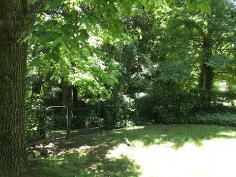 Tyntynder Garden Cottage 4 - Brisbane Tourism 2