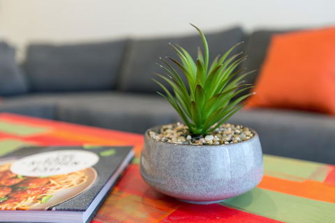 Urban Jungle! Executive Apartment In Heart Of CBD - Brisbane Tourism 1
