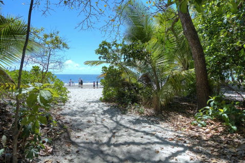 Villa Del Mar - Port Douglas - Brisbane Tourism 1