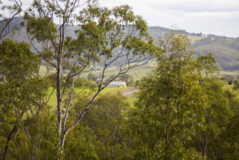 Villa Grenache - Tourism Brisbane 1