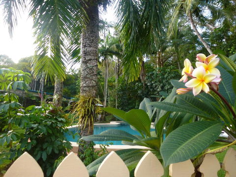 Villa Marine Holiday Apartments Cairns - Brisbane Tourism 1