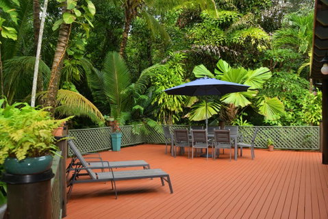 Wait A While Daintree - Brisbane Tourism 2