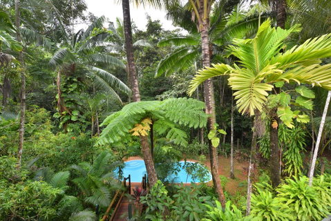 Wait A While Daintree - Brisbane Tourism 3