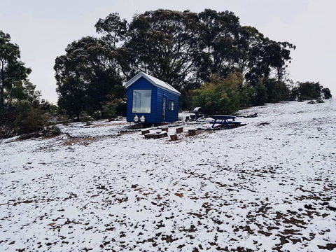 Walden Tiny House - Tourism Brisbane 2