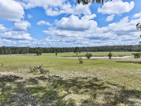 Wallaby Cottage - Cute Accom In Bushland Setting - Brisbane Tourism 3