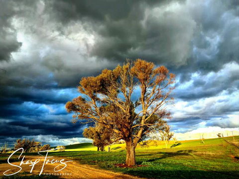 Wantana Cottage Farmstay - Tourism Brisbane 2