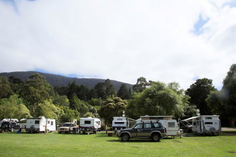 Warburton Holiday Park - Brisbane Tourism 0