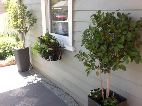 Redruth Cottage - Tourism Brisbane 19