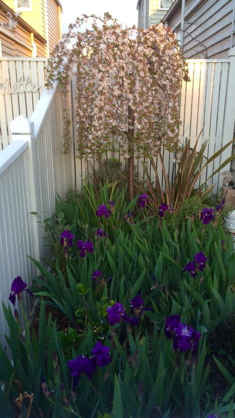 Redruth Cottage - Tourism Brisbane 24