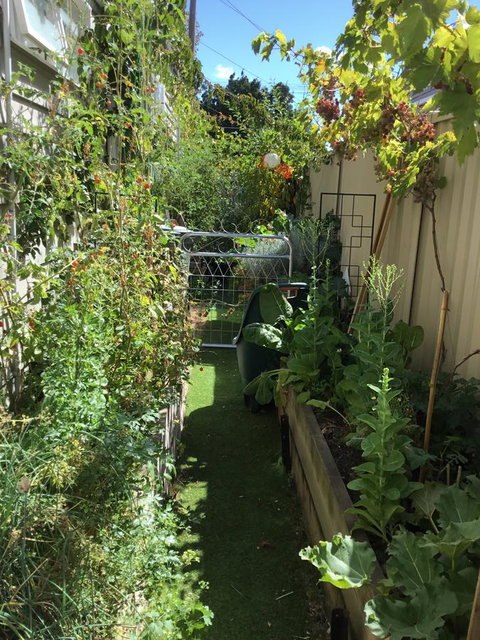 Redruth Cottage - Tourism Brisbane 7