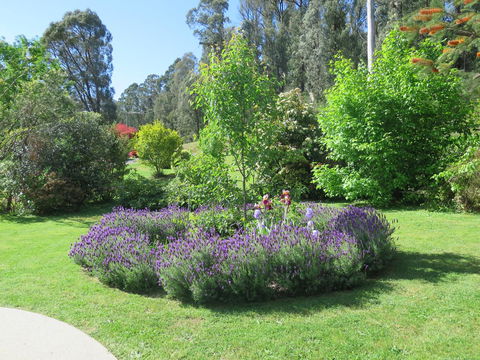 Amelina Cottages - Brisbane Tourism 32
