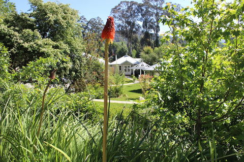 Amelina Cottages - Brisbane Tourism 23