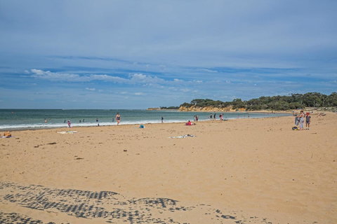 Nautical Rise Torquay - Brisbane Tourism 29