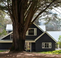 The Orchard - Tourism Brisbane