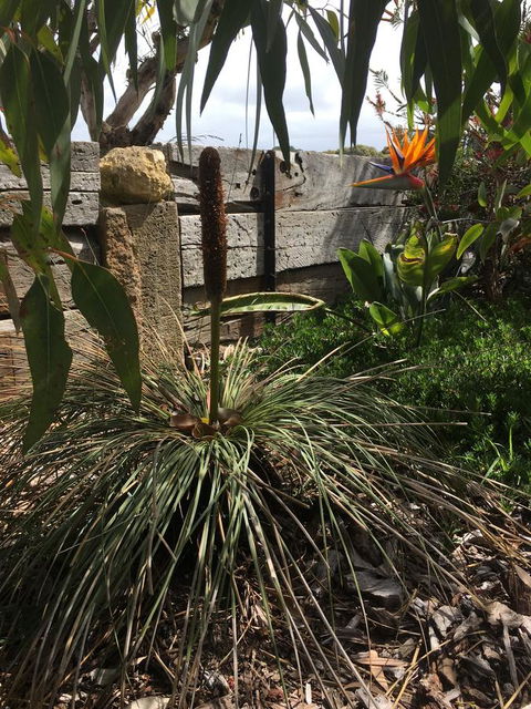 The PC Cottage - Tourism Brisbane 32