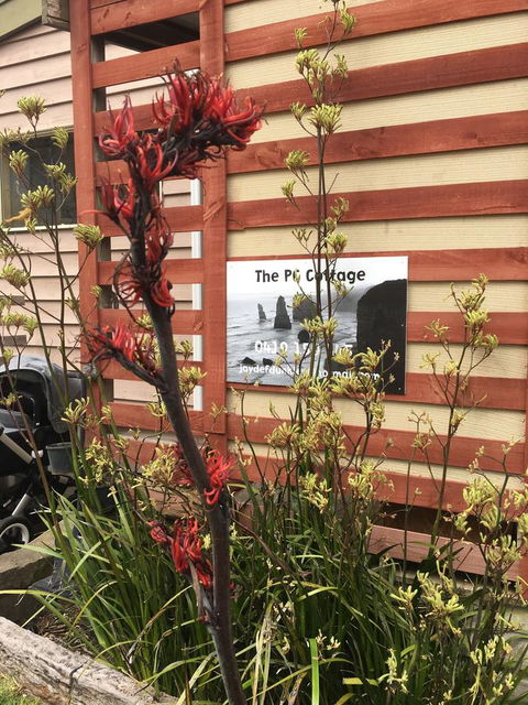 The PC Cottage - Tourism Brisbane 30
