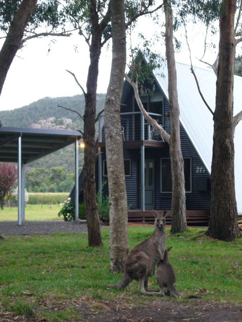 The A-Frame - Tourism Brisbane 1