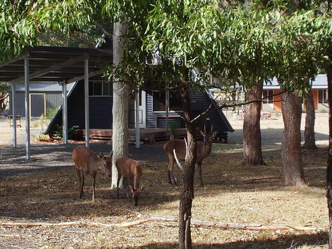 The A-Frame - Tourism Brisbane 13