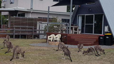 The A-Frame - Tourism Brisbane 3