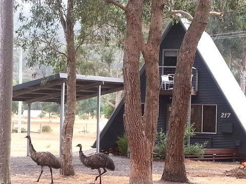 The A-Frame - Tourism Brisbane 9