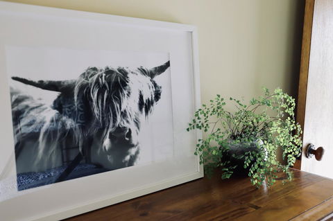 Red Ceder Cottage - Great Ocean Road - Port Campbell - Tourism Brisbane 5