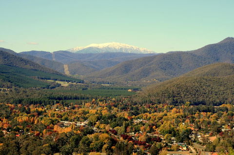 3 Bells Alpine Cottage - Brisbane Tourism 24