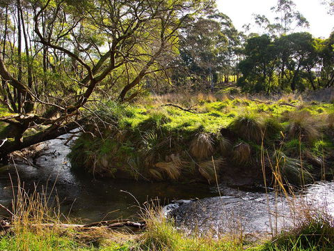 Green Gully House - Tourism Brisbane 5