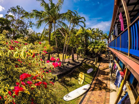 Cool Bananas Backpackers - Tourism Brisbane 17