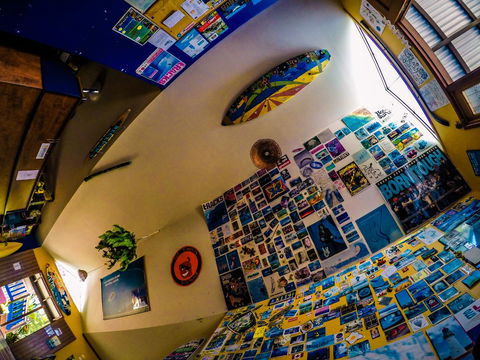 Cool Bananas Backpackers - Tourism Brisbane 29